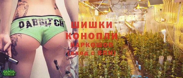 спайс Арсеньев
